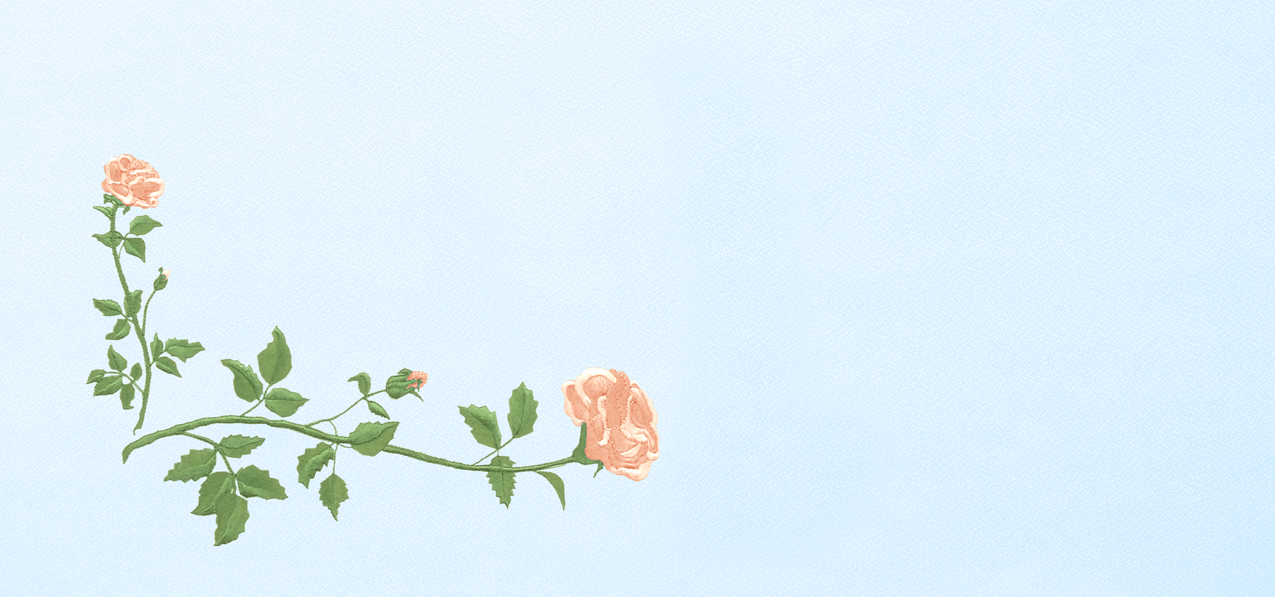 Corner Rose Peach Blue Faux